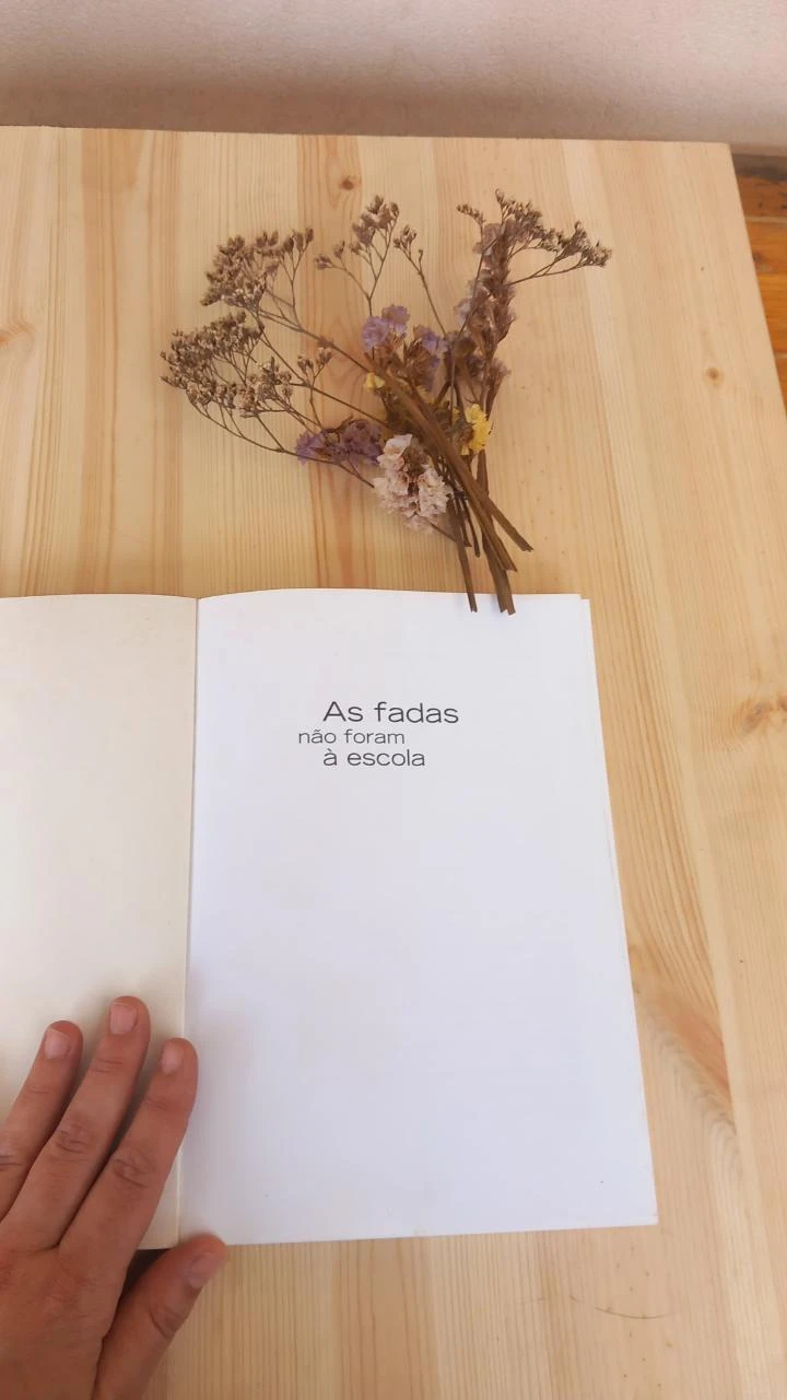 Les Fées ne sont pas allées à l'école | Maria Augusta Seabra Diniz – photo 3